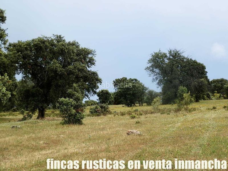 Foto 3b89a06e-7bf7-4573-9d0b-e5e9ad91afd4. Finca rústica a Casco Antiguo Talavera de la Reina