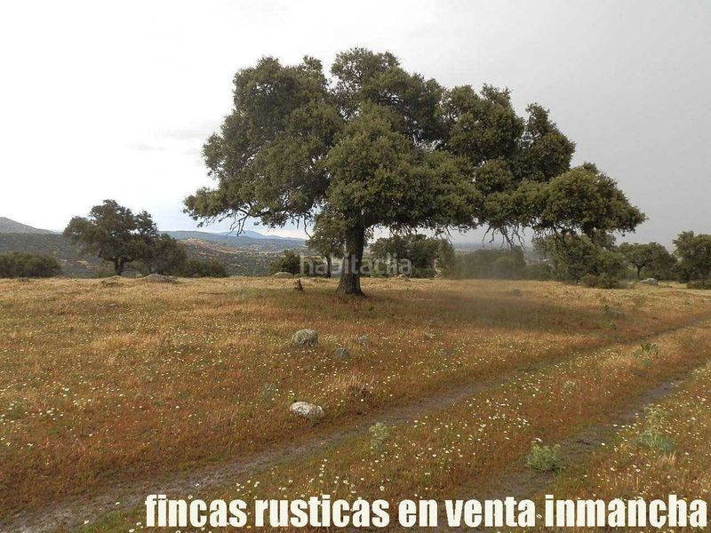 Foto 469ad4c9-6dd2-482b-a398-7df07544a327. Finca rústica a Casco Antiguo Talavera de la Reina