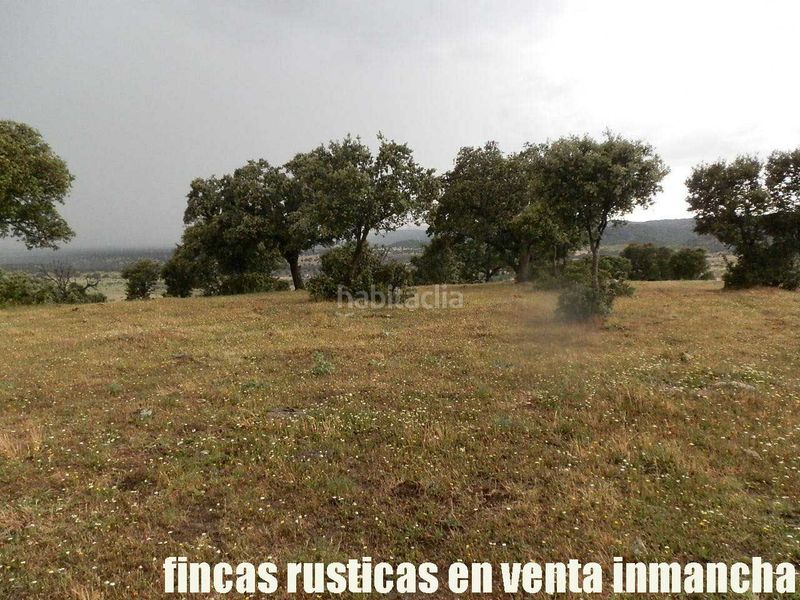 Foto 4817f2ac-61e7-4333-aa36-1370ea255688. Finca rústica a Casco Antiguo Talavera de la Reina