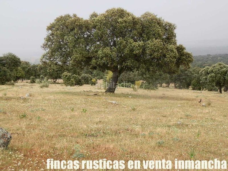 Foto 5ddfd4e5-6401-43b0-b51b-24f94405e4bf. Finca rústica a Casco Antiguo Talavera de la Reina