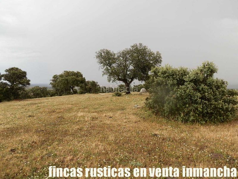 Foto 62d581c9-42f6-4580-9916-91d195a231a7. Finca rústica a Casco Antiguo Talavera de la Reina