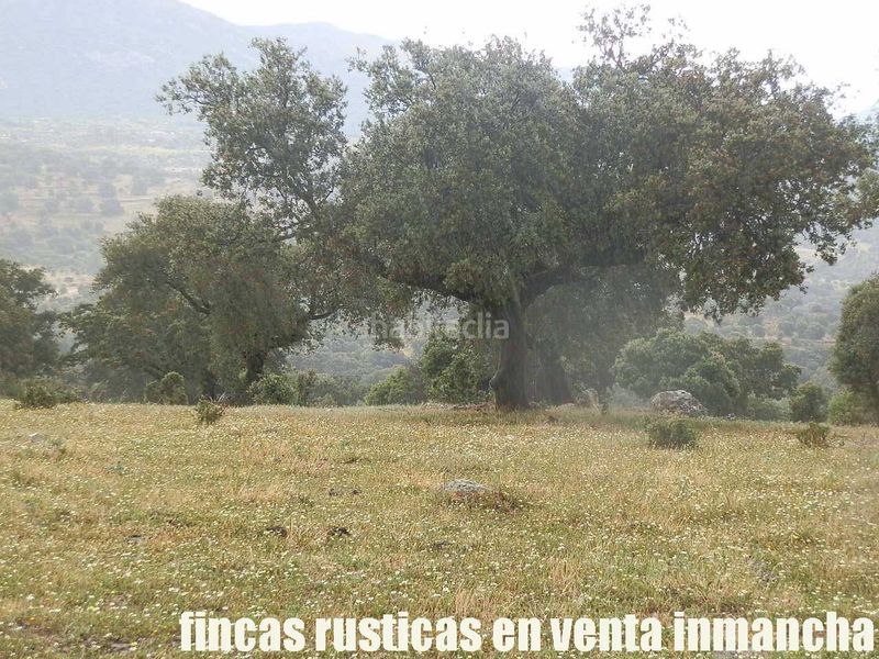 Foto 7025c6f2-2d39-49d7-a41c-dc2d8a91e426. Finca rústica a Casco Antiguo Talavera de la Reina