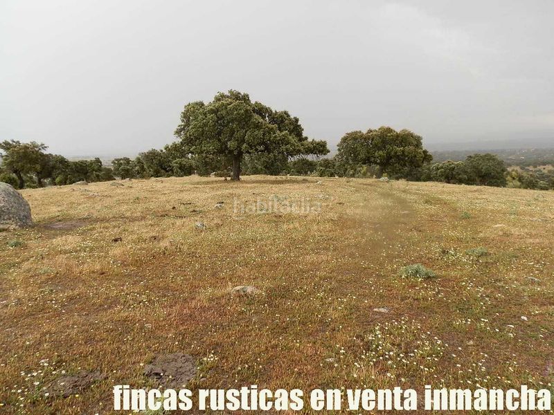 Foto acf5c54f-4572-4ae7-80a8-0b10a8161223. Finca rústica a Casco Antiguo Talavera de la Reina