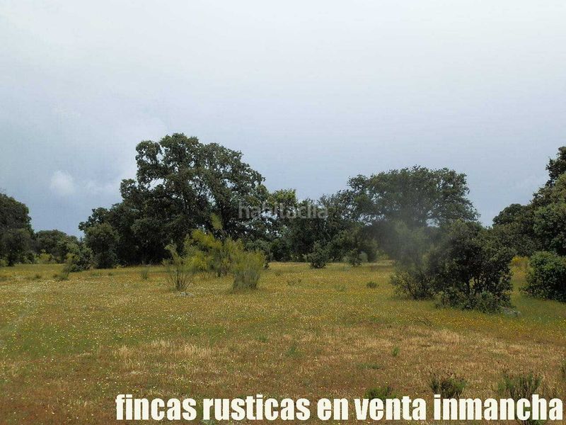 Foto add53d31-03dc-4044-8a35-1139baf2c75f. Finca rústica a Casco Antiguo Talavera de la Reina