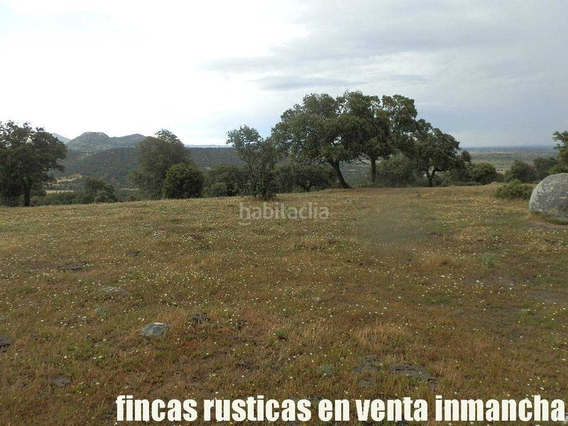 Foto c8031615-931c-4b40-adce-48ae602ede67. Finca rústica a Casco Antiguo Talavera de la Reina