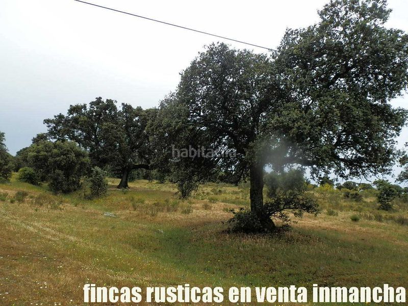 Foto e4eb29de-be6a-41ae-8334-6dd076efe85c. Finca rústica a Casco Antiguo Talavera de la Reina