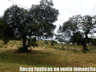 Rural plot in Casco Antiguo. Finca en venta ganadera recreo en toledo