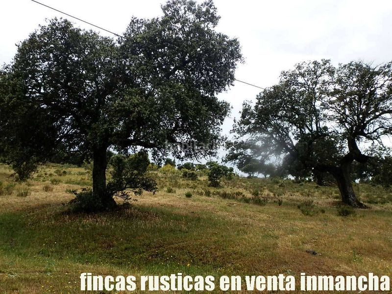 Foto ea6b834a-a77d-48f6-a206-ddc66b789629. Finca rústica a Casco Antiguo Talavera de la Reina