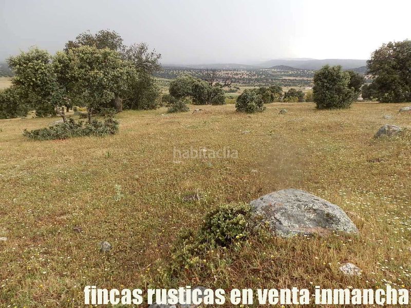 Foto f59f196e-64fc-4507-b605-e27298a5ab0e. Finca rústica a Casco Antiguo Talavera de la Reina