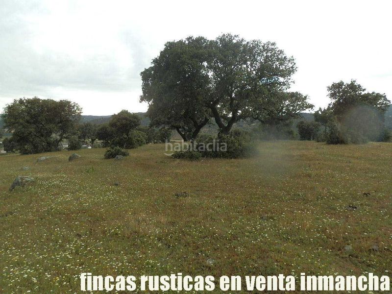 Foto ffe54821-6cd5-44ac-82ec-23b5896ac98b. Finca rústica a Casco Antiguo Talavera de la Reina