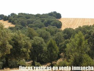 Finca rústica a Munera. Finca en venta labor monte caza menor en albacete