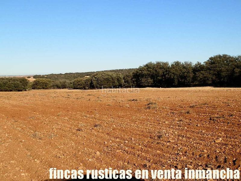 Foto 53d345fb-3c1d-4166-86e8-ee663ade8a9a. Fondo rustico in Quintanar de la Orden