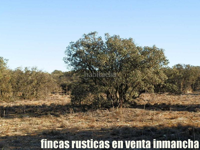 Foto 58f9d73b-6ca1-483f-84ef-d7f48313a759. Fondo rustico in Quintanar de la Orden