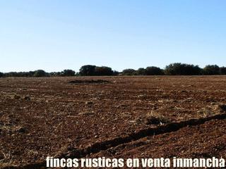 Finca rústica a Quintanar de la Orden. Finca en venta labor viña monte caza menor en cuenca