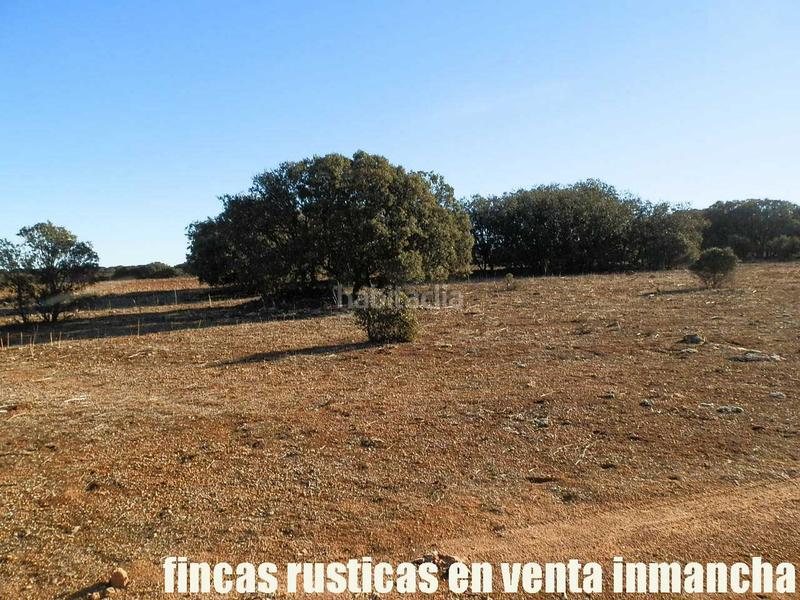 Foto 7f2d682c-9e88-457f-a1e4-51bb48681050. Fondo rustico in Quintanar de la Orden