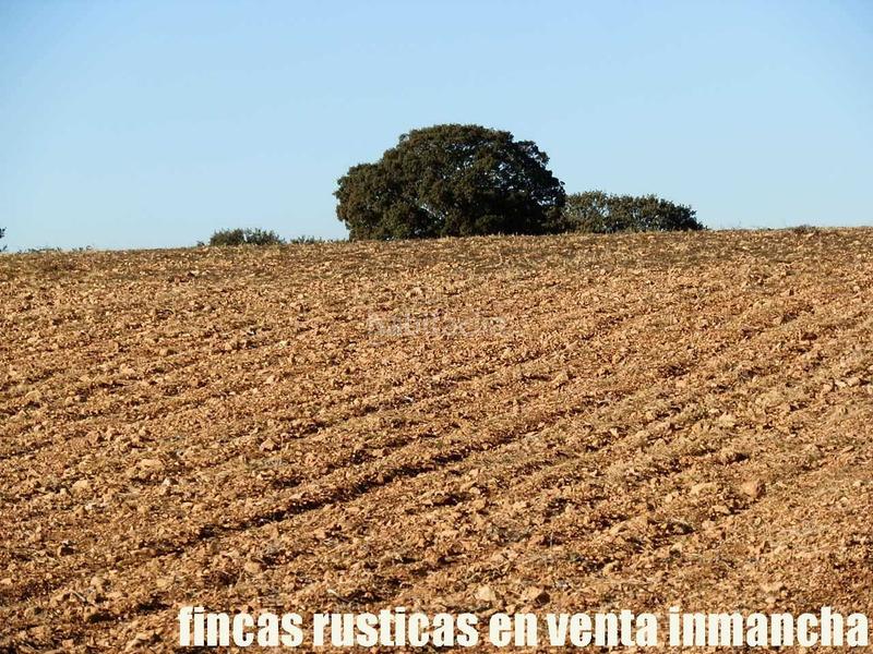 Foto 8aff66d6-2430-45b9-9bcb-20b1c47ffd8d. Fondo rustico in Quintanar de la Orden