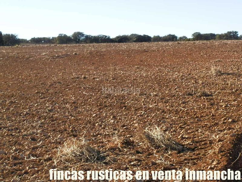 Foto 99e6242d-28cf-47e9-91b9-d6f8e5d9e7e7. Fondo rustico in Quintanar de la Orden