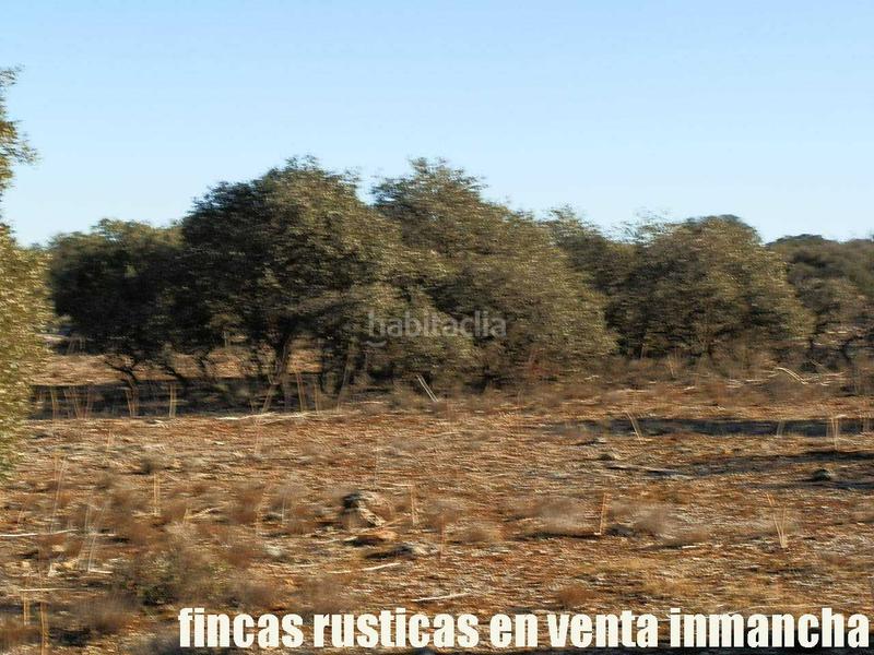Foto a0b1d650-921d-46dd-bcaa-e35c6c047d8b. Fondo rustico in Quintanar de la Orden