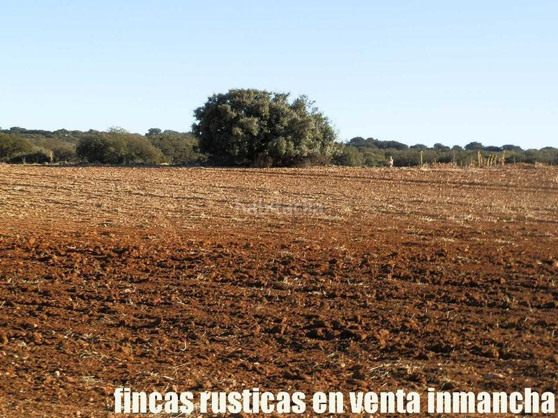 Foto a25df301-27f4-4f3f-a785-e9b628755773. Fondo rustico in Quintanar de la Orden