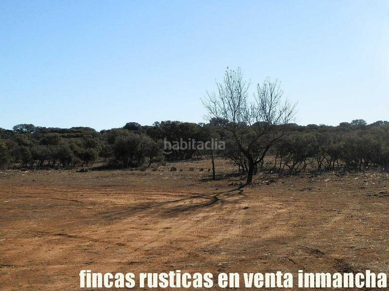 Foto adc5dc28-ec26-4ab1-aeba-79dcee33254b. Fondo rustico in Quintanar de la Orden