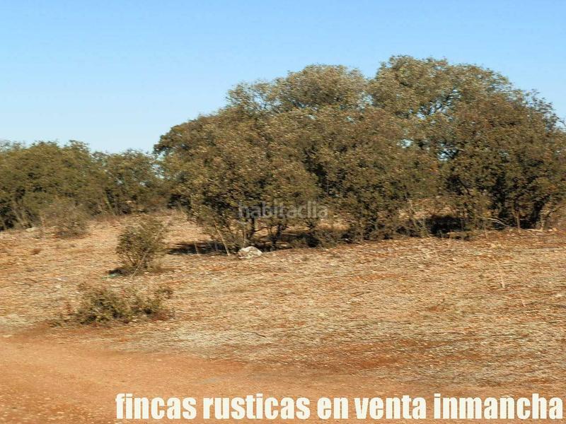 Foto ccfce974-1eff-4858-b478-5e6b0eedf166. Fondo rustico in Quintanar de la Orden