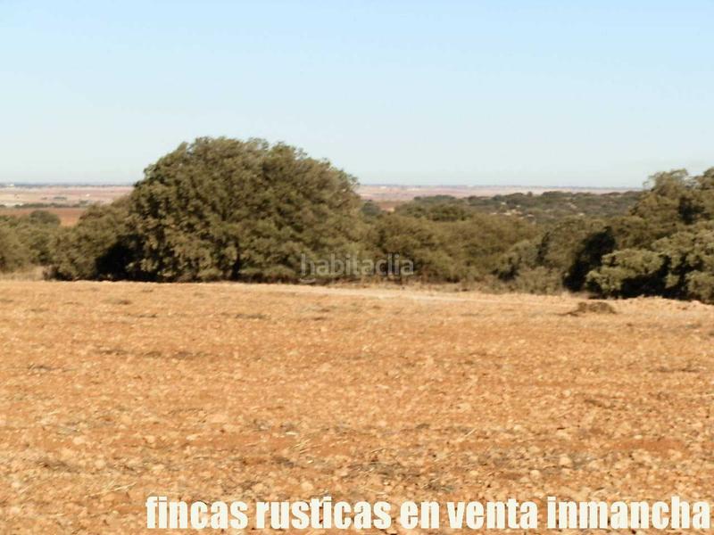 Foto cdb0367f-cf7e-4abb-b06c-3b9c12cf0cfe. Fondo rustico in Quintanar de la Orden