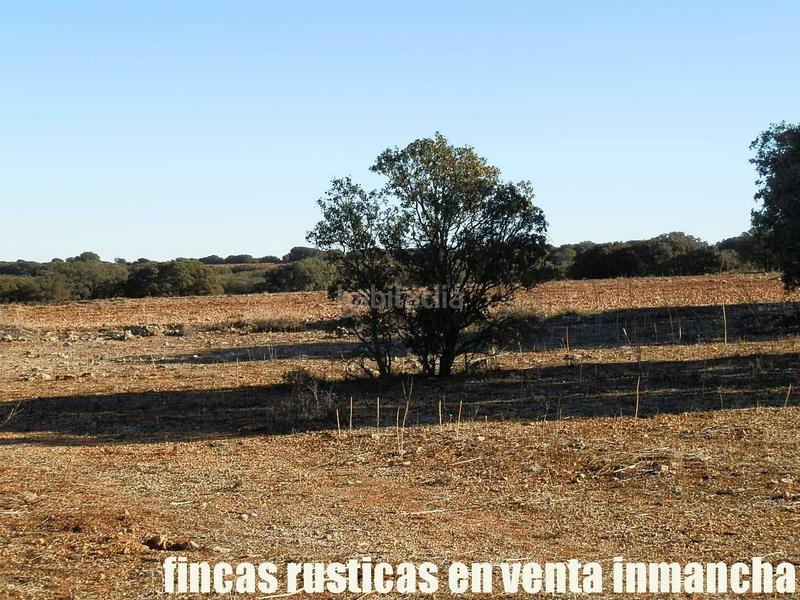 Foto e0a9dea9-d905-42f8-ba4d-a96bf93c9a54. Fondo rustico in Quintanar de la Orden