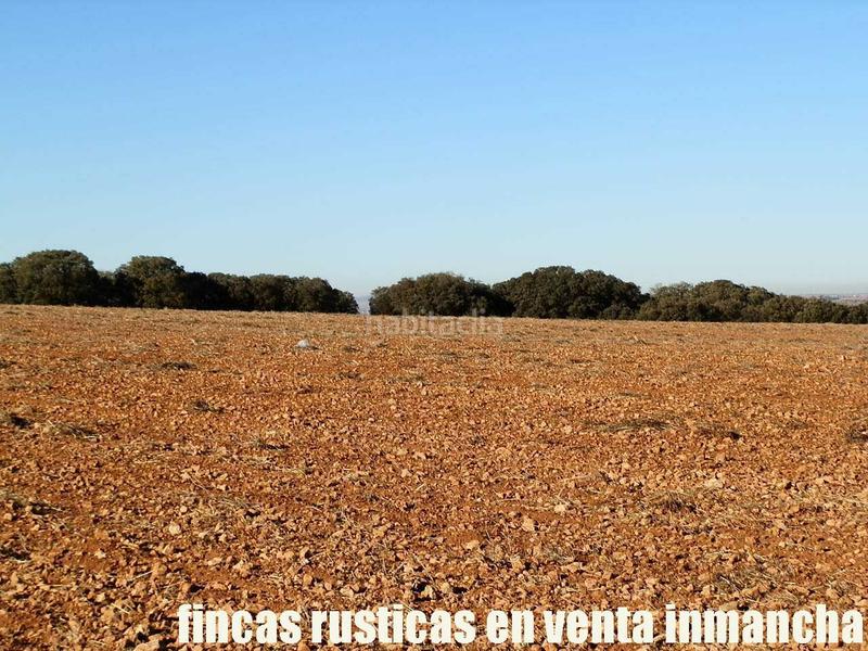 Foto fb9c1661-72df-4fcb-8a9d-ae2b0d3f7e09. Fondo rustico in Quintanar de la Orden