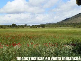 Finca rústica a Elche de la Sierra. Finca en venta labor monte caza mayor y menor en albacete