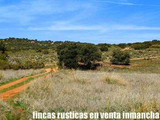Finca rústica a Ossa de Montiel. Finca en venta labor monte caza menor en albacete