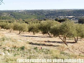 Finca rústica en Villarejo de Salvanés. Finca en venta labor olivar edificaciones en madrid