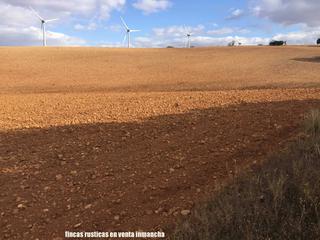 Finca rústica a Ossa de Montiel. Finca en venta labor monte caza menor caserío en albacete