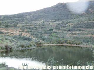 Propriété à Valverde del Camino. Finca en venta ganadera en huelva