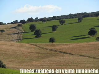 Finca rústica a Viso del Marqués. Finca en venta labor secano en ciudad real