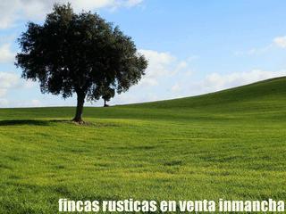 Finca rústica a Viso del Marqués. Finca en venta labor secano en ciudad real