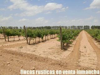 Finca rústica a Villarrobledo. Finca en venta viña almendros bodega en albacete
