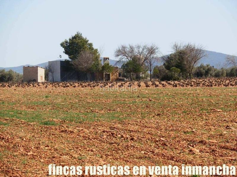 Foto 0d653d0b-216c-43db-9e26-58c19c9713bf. Propriété dans Valdepeñas