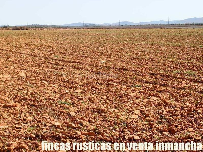 Foto 1ade5b1d-c304-4231-951f-c215a1e2bead. Propriété dans Valdepeñas