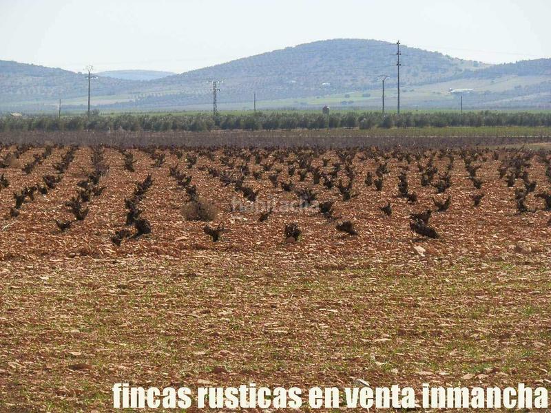 Foto 2f45350d-e724-4eb0-8487-4c050c0f1c6b. Propriété dans Valdepeñas