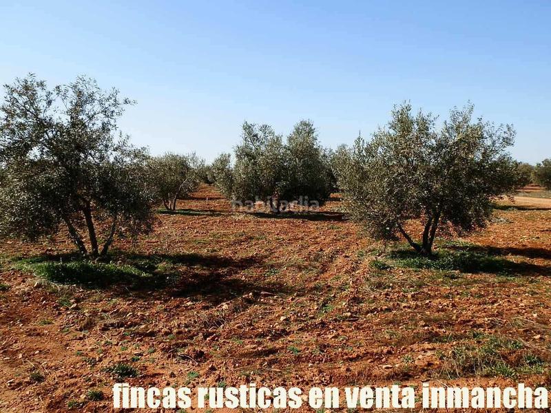 Foto 33a81d0c-5310-4913-8f80-8f4fcc49aa4b. Propriété dans Valdepeñas