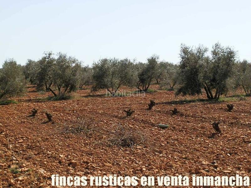 Foto 5081f897-cf43-496b-a4ac-af4476d99c35. Propriété dans Valdepeñas