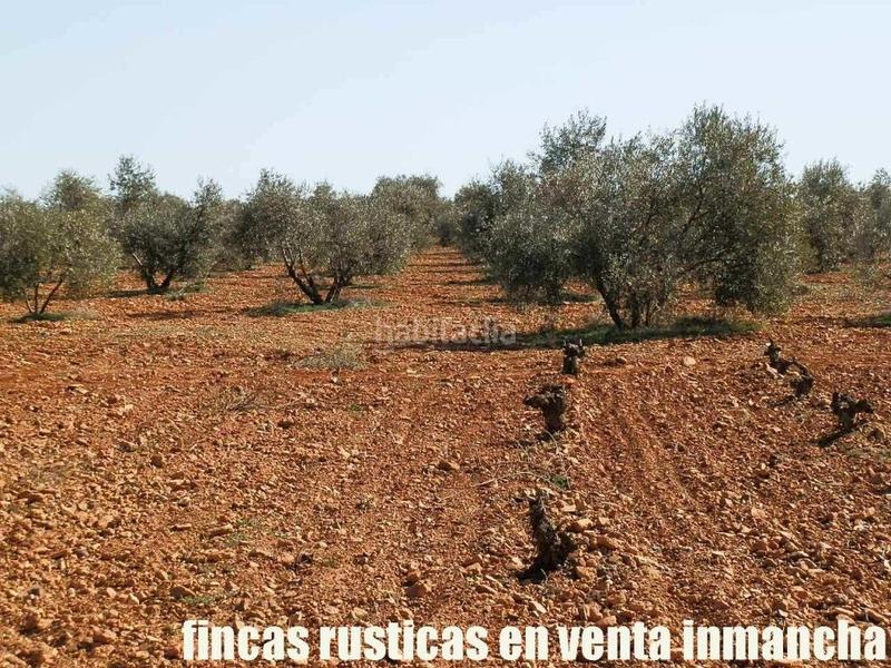 Foto 5f4f12f6-1ca9-466b-a443-9dbaa4aa67c5. Propriété dans Valdepeñas