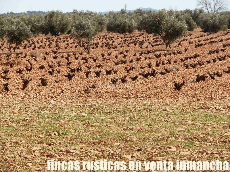 Foto 6bea732a-20fd-471d-b325-a655cfe1b489. Propriété dans Valdepeñas