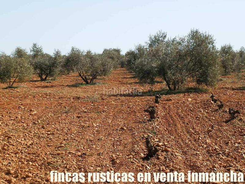 Foto 7ad990d7-453f-4bff-ae85-2edfccf2ebd9. Propriété dans Valdepeñas