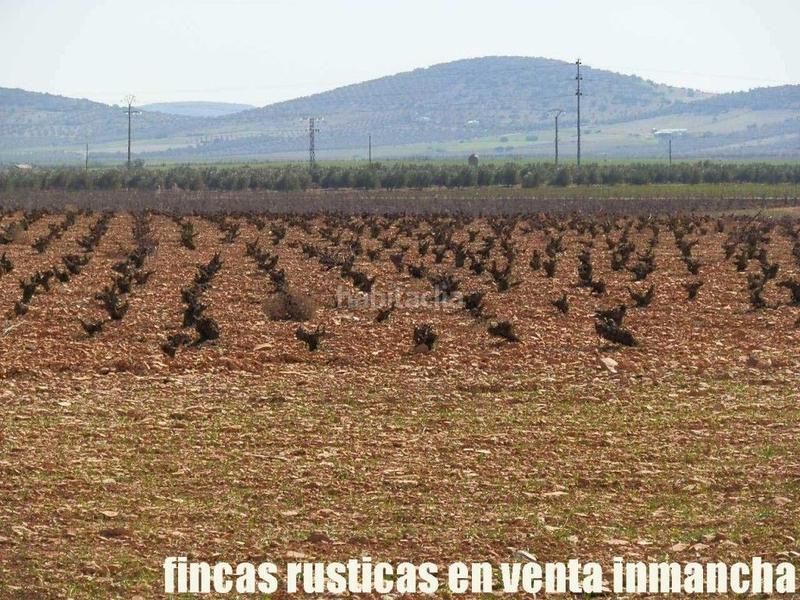 Foto 87fb53ce-7f8d-4621-9080-5b71911f68b1. Propriété dans Valdepeñas