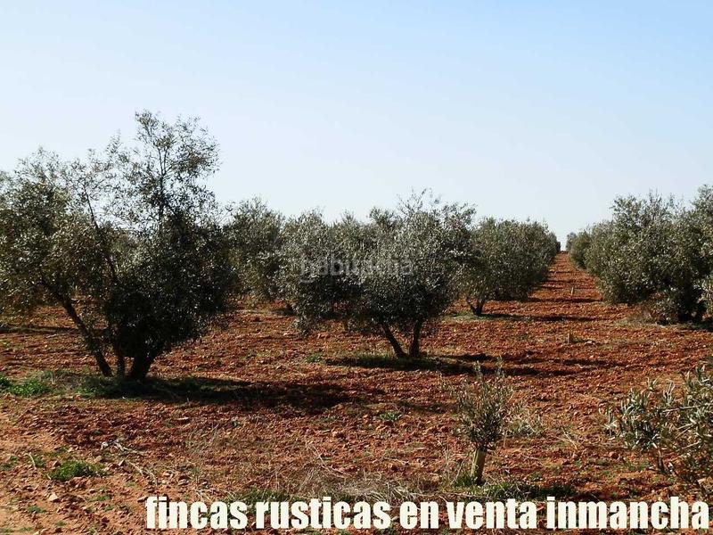 Foto 9150525c-5c0c-4d5f-b4ba-2eacae7bde75. Propriété dans Valdepeñas