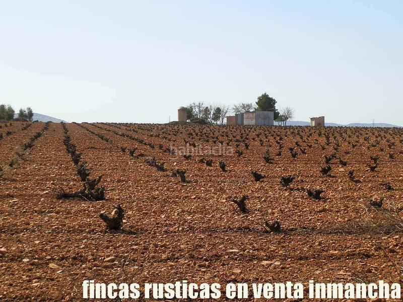 Foto 9c24f1fe-c758-4783-b5bd-6a54b45e3fa9. Propriété dans Valdepeñas