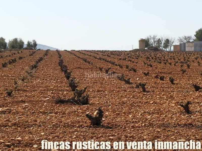 Foto e50846e7-9772-42ca-b545-8e042cd56cc4. Propriété dans Valdepeñas