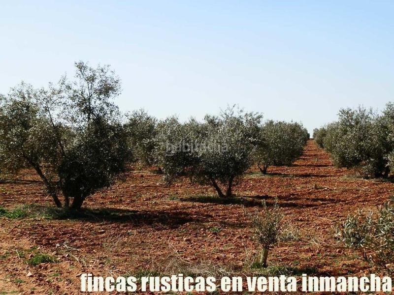 Foto e5302fad-934a-4042-a0b8-c471a6483912. Propriété dans Valdepeñas