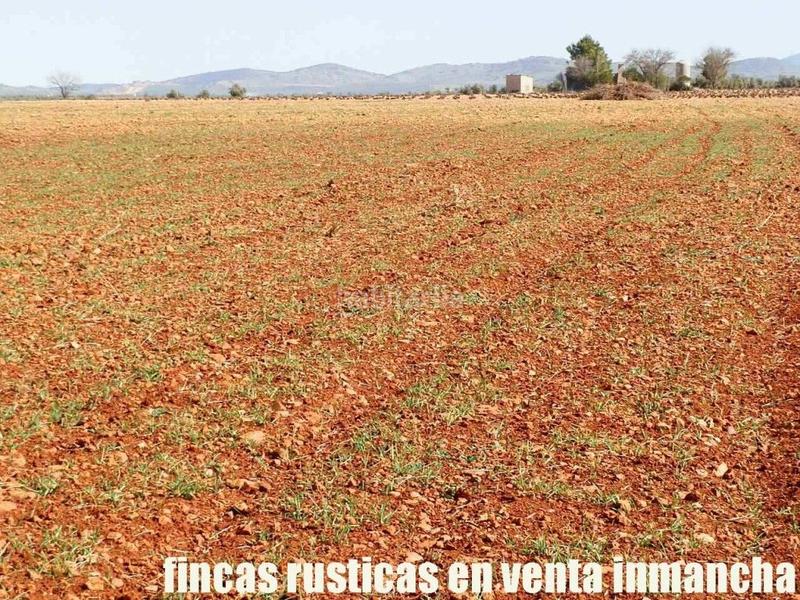 Foto e776b266-1337-49e2-9363-cd186a02099c. Propriété dans Valdepeñas